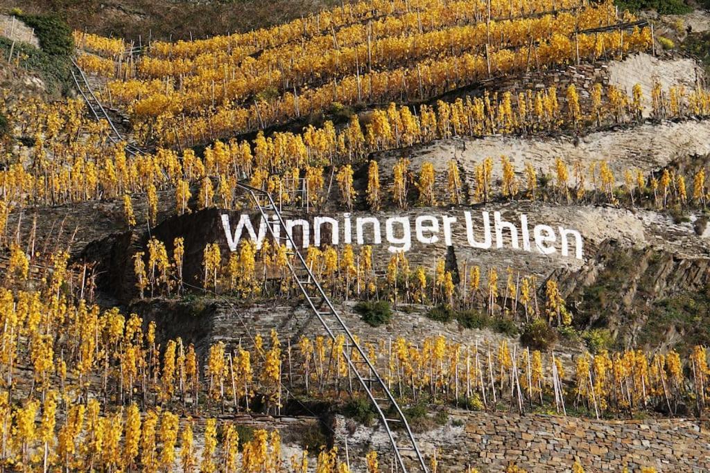 Ferienwohnung Sabine Jacoby Winningen Exterior photo